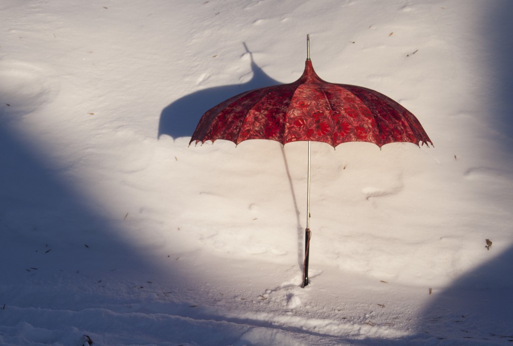 Colorful Umbrella